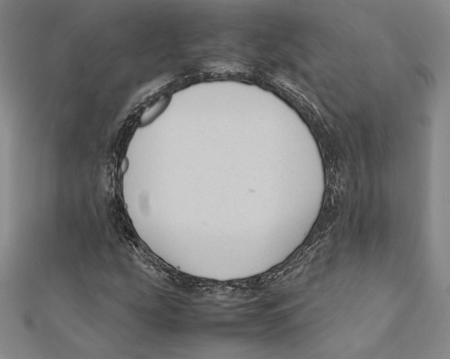 X0000112041207200908311229