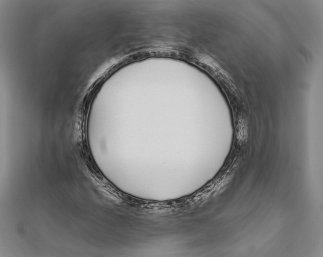 X0000112041208200908311229
