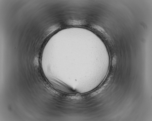 X0000112041209200908311229