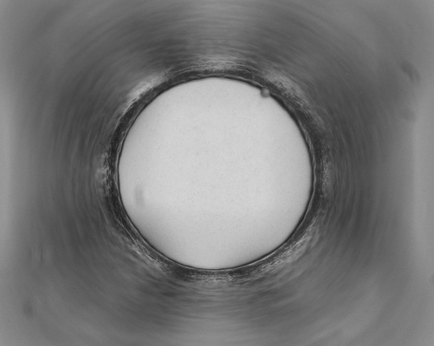 X0000112041210200908311229