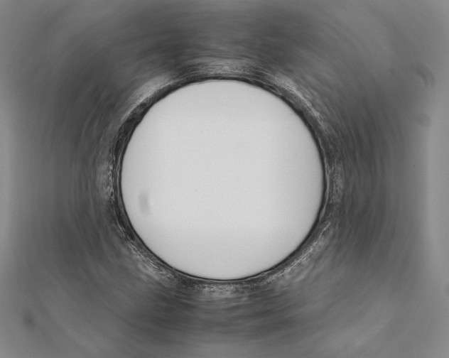 X0000112041211200908311229