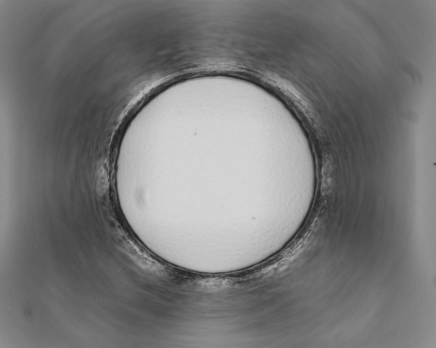 X0000112041212200908311229