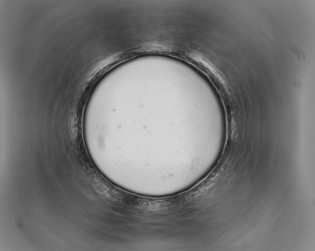 X0000112041213200908311229