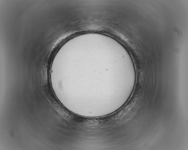 X0000112041214200908311229