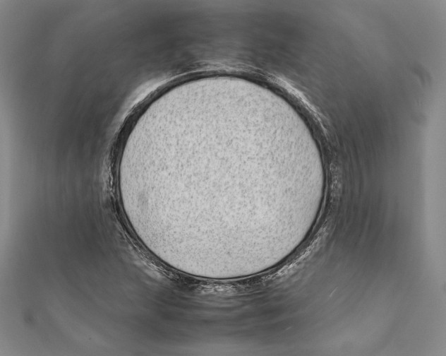 X0000112041215200908311229