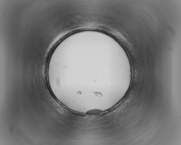 X0000112041216200908311229