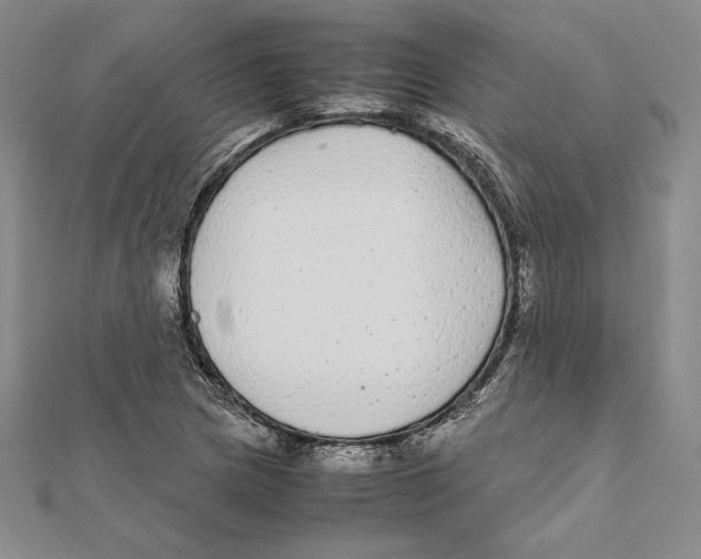 X0000112041217200908311229