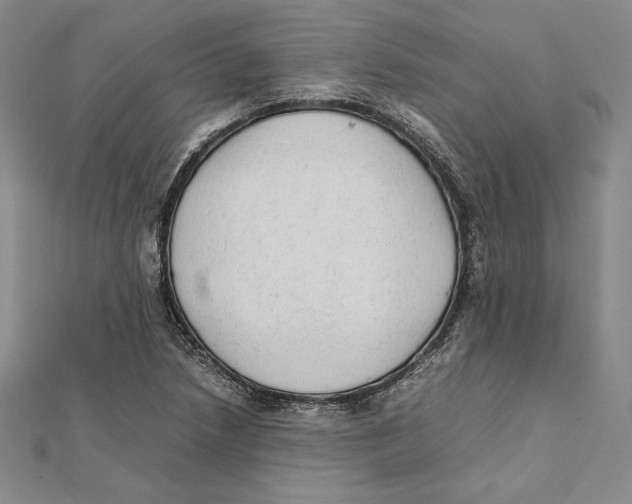 X0000112041218200908311229