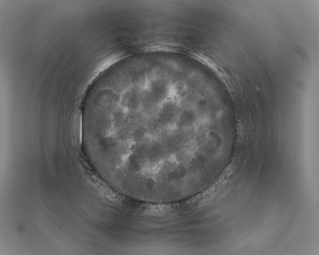 X0000112041219200908311229