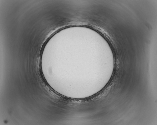 X0000112041220200908311229