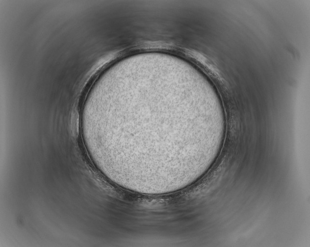 X0000112041221200908311229