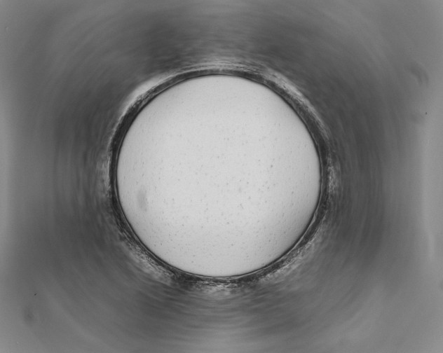 X0000112041222200908311229