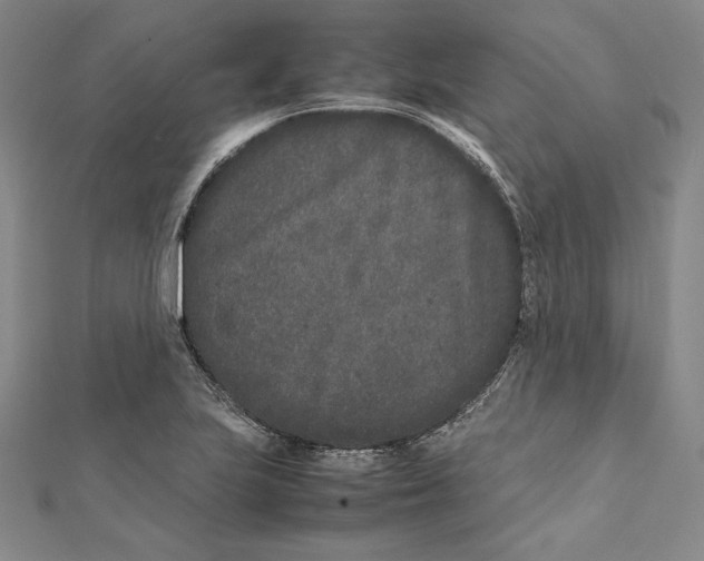 X0000112041223200908311229