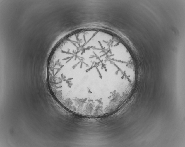 X0000112041224200908311229