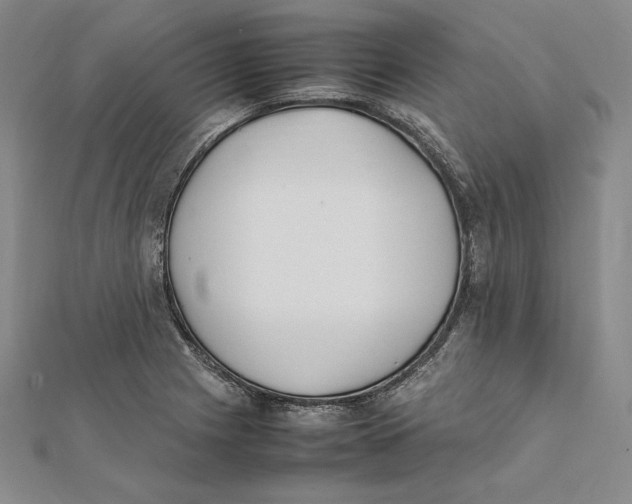 X0000112041225200908311229
