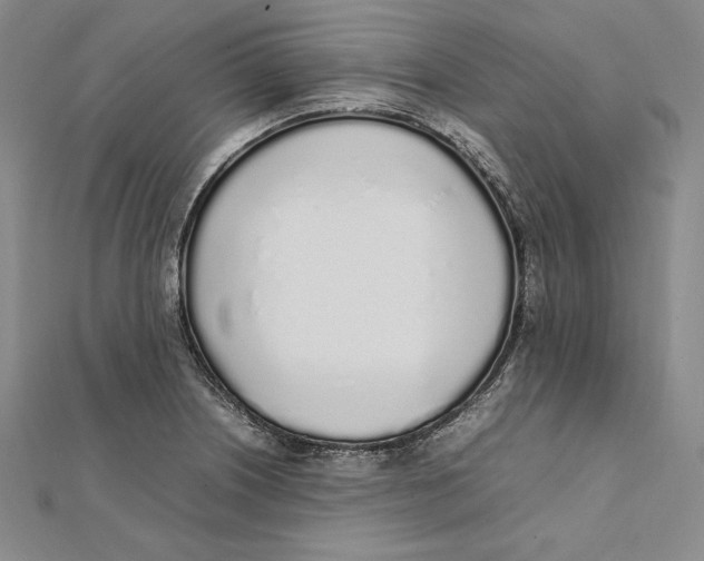 X0000112041226200908311229