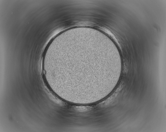 X0000112041227200908311229
