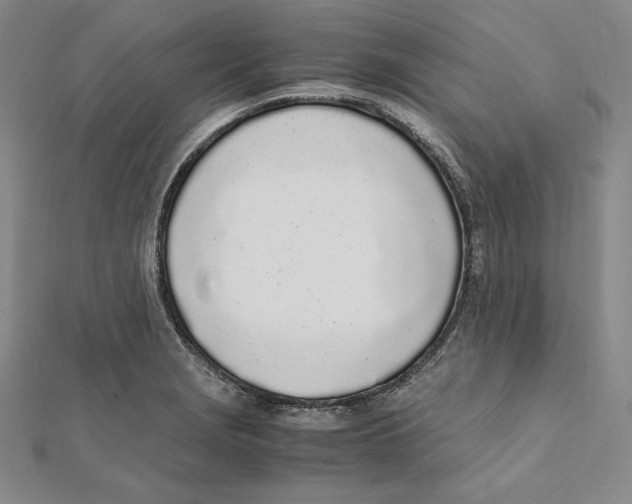 X0000112041229200908311229