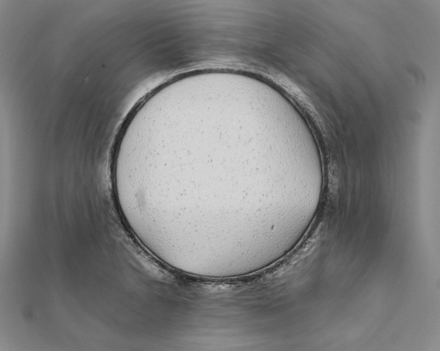 X0000112041230200908311229