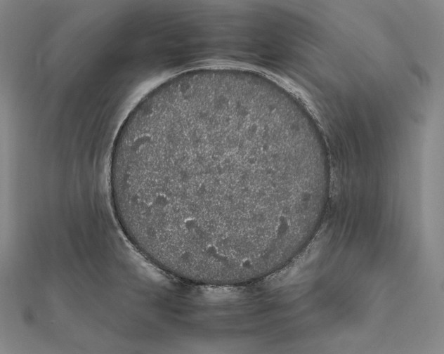 X0000112041231200908311229