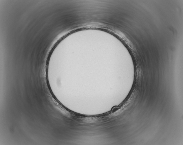X0000112041232200908311229