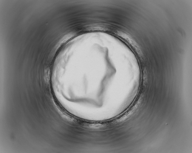 X0000112041233200908311229