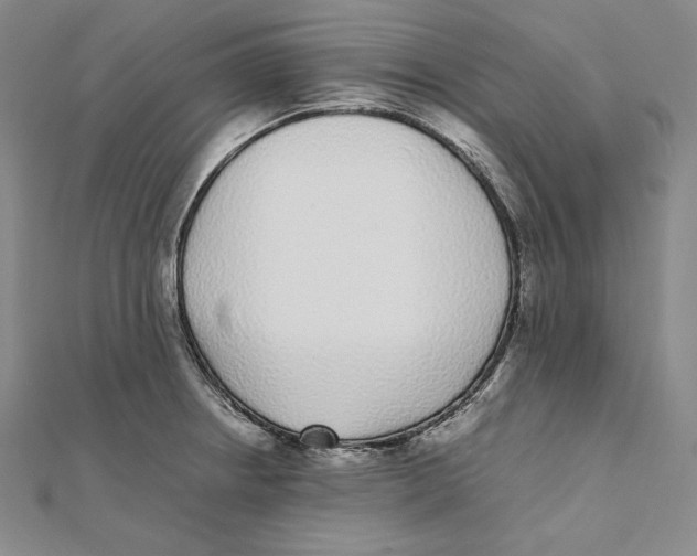 X0000112041234200908311229