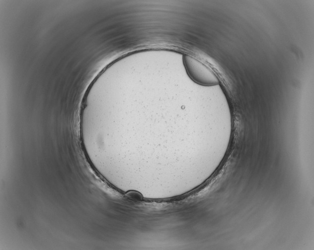 X0000112041236200908311229
