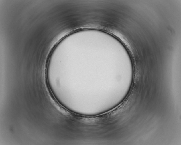X0000112041237200908311229