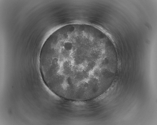 X0000112041239200908311229