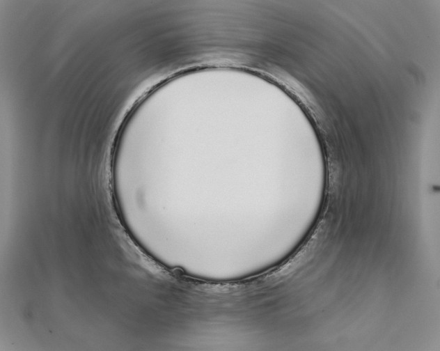 X0000112041240200908311229