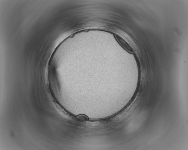 X0000112041242200908311229