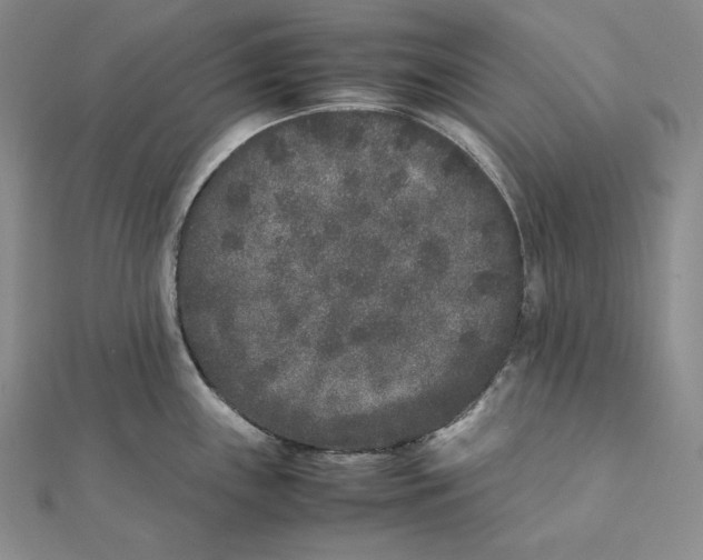 X0000112041243200908311229