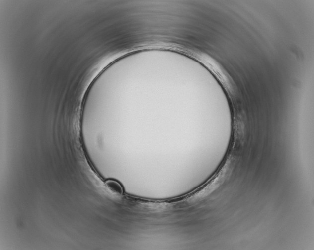 X0000112041244200908311229