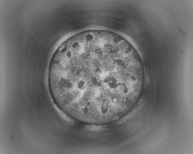 X0000112041245200908311229