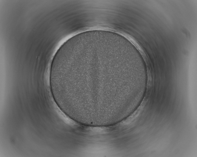 X0000112041246200908311229