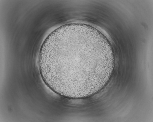 X0000112041247200908311229