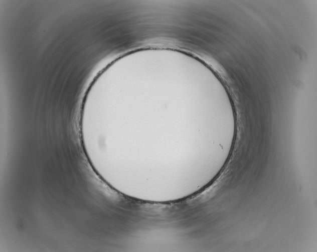 X0000112041248200908311229