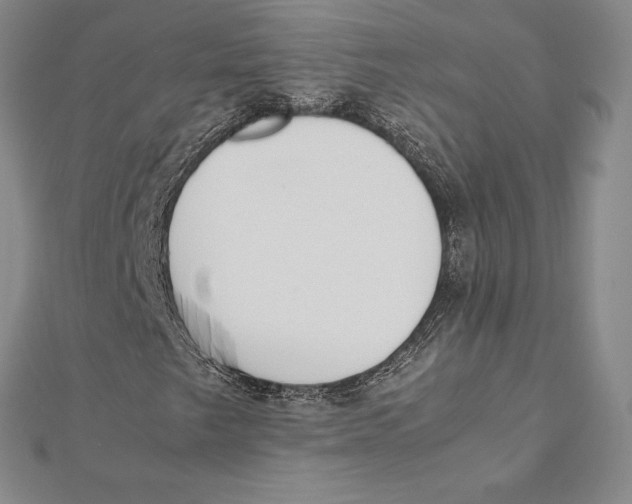 X0000112041249200908311229