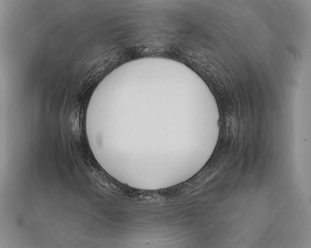 X0000112041250200908311229