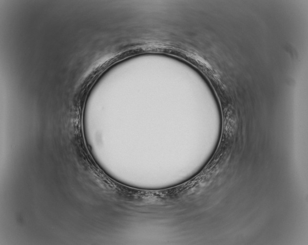 X0000112041255200908311229