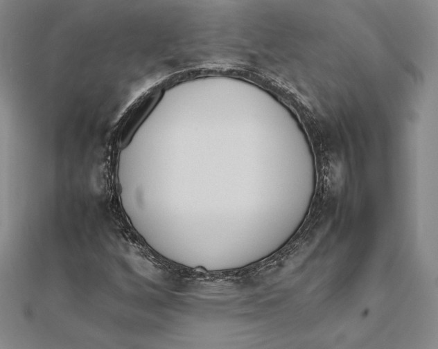 X0000112041256200908311229