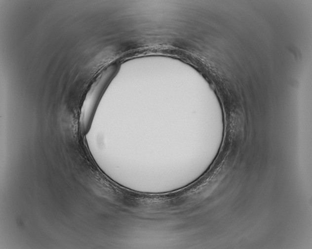 X0000112041257200908311229