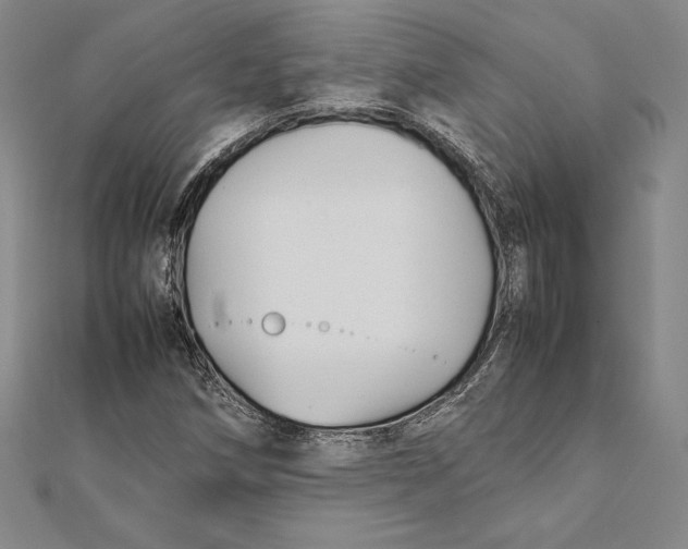 X0000112041258200908311229