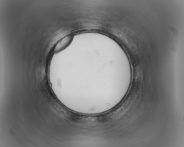 X0000112041261200908311229
