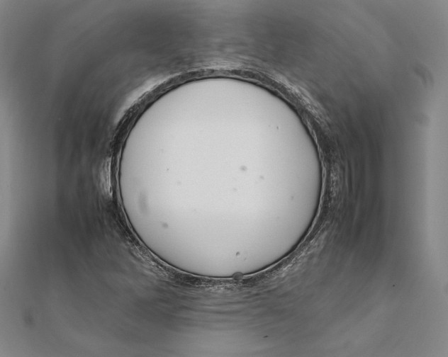 X0000112041262200908311229
