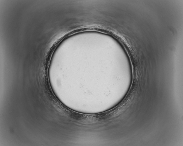 X0000112041263200908311229