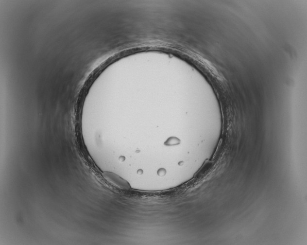 X0000112041264200908311229
