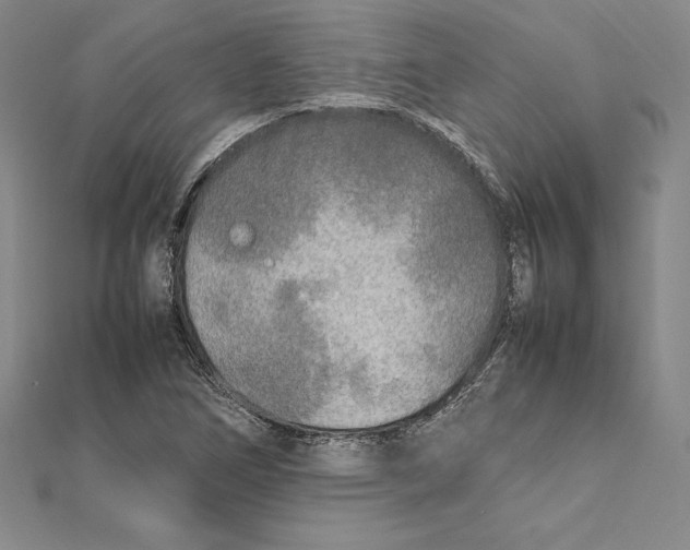 X0000112041266200908311228