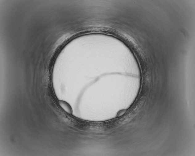 X0000112041267200908311228